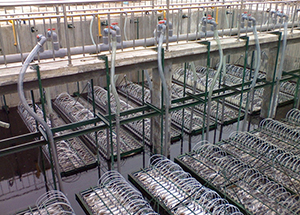 MBR技術(shù)在某廢水處理中的應(yīng)用                            